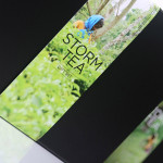 Storm Tea Tetsubin Gift Set