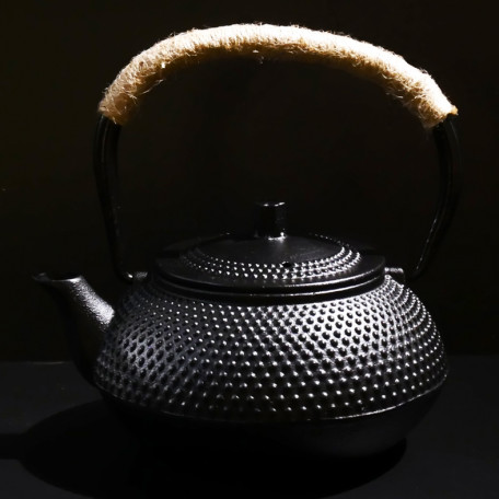Japanese Style Tetsubin Cast Iron Teapot