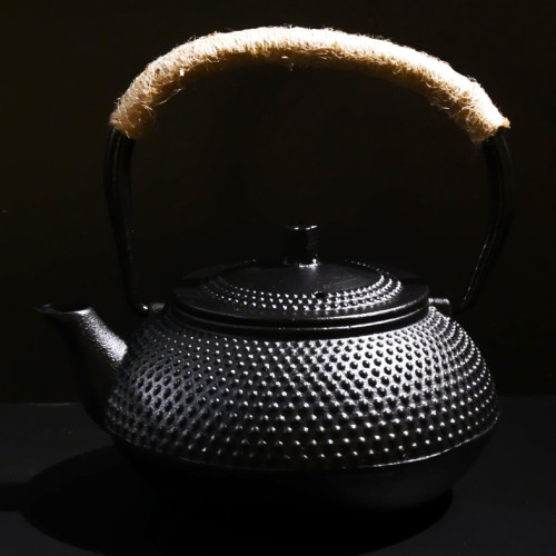 Japanese Style Tetsubin Cast Iron Teapot