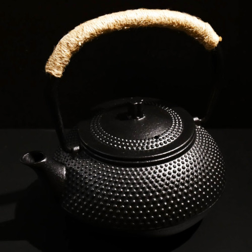 Japanese Style Tetsubin Cast Iron Teapot
