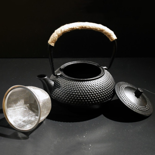 Japanese Style Tetsubin Cast Iron Teapot